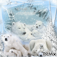 famille ours blanc