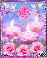 Pink roses and lights. анимиран GIF