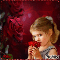 j'adore les roses rouges