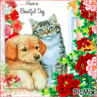 Have a beautiful day. Window, cat and dog animeret GIF