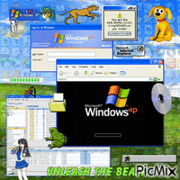 windows xp animovaný GIF