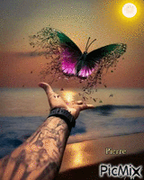 envole toi jolie papillon ♥ - Ingyenes animált GIF