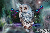 OWL FANTASY 4 animerad GIF