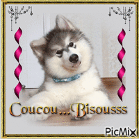 coucou bisou - Free animated GIF