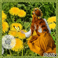 Dandelions-- sunny flowers GIF animado