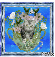 Cat among flowers. Gif Animado