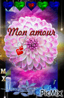 Amore - 免费动画 GIF