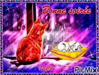 Bonne soirée les chatons 动画 GIF