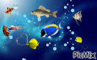 aquarium GIF animata