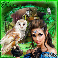 Female Elf With Owl - On Green Background