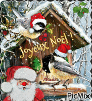 Oiseaux de Noël... - Gratis animeret GIF