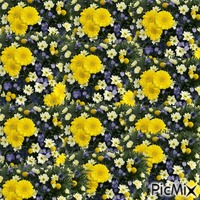 sfondo fiori animirani GIF