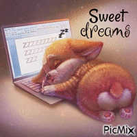Sweet dreams