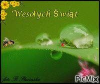 wesolych swiat - Nemokamas animacinis gif