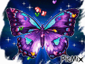 la magie des papillons Gif Animado
