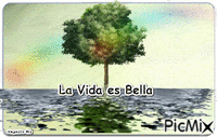 Lavida es bella GIF แบบเคลื่อนไหว