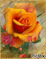 Sárga rózsa. - Bezmaksas animēts GIF