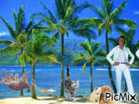 Vacaciones - GIF animate gratis