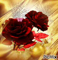 rose magique - Darmowy animowany GIF