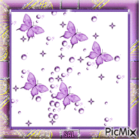 frame lilac by sal - 免费动画 GIF