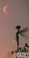 Hada - Zdarma animovaný GIF
