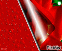 Rosa roja - GIF animé gratuit