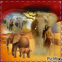 liou l'amis des éléphant - Free animated GIF