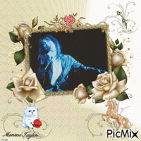 Steve Perry White Roses Sq Frame GIF アニメーションGIF