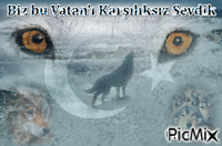 Ülkü Gülü - Δωρεάν κινούμενο GIF