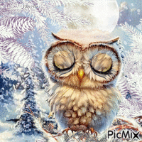 Winter Owl Good Night - Free animated GIF