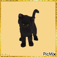 My black cat - Gratis animeret GIF