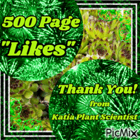 500 Page Likes Katia Plant Scientist animovaný GIF