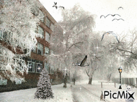 Winter - Бесплатный анимированный гифка