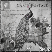 " Carte postale en noir et blanc" - Darmowy animowany GIF