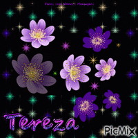 Tereza GIF แบบเคลื่อนไหว