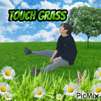 Touch Grass More animuotas GIF
