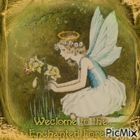 little fairy - GIF animé gratuit