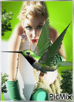 Green  bird.. - GIF animé gratuit