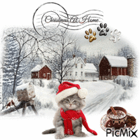 Christmas At Home With Hot Chocolate animerad GIF