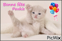 Bonne fête Poukie - GIF animé gratuit