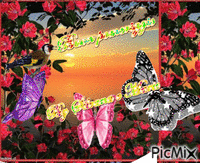 farfalle - GIF animado grátis