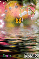 Mariposa en el agua - 無料のアニメーション GIF