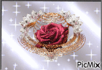 Kis rózsa - Gratis geanimeerde GIF