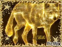 Golden-wolf - Free animated GIF