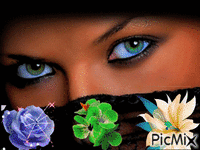 Beautiful eyes Animated GIF