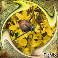Szép napot kívánok! Kertünkből a saját aranyeső fotóm. - GIF animado gratis