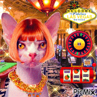 Las Vegas Cat Animated GIF