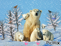 Ours - GIF animate gratis