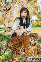 Тигр... - Free animated GIF