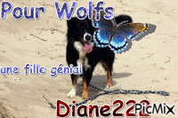 Pour Wolfs - Free animated GIF